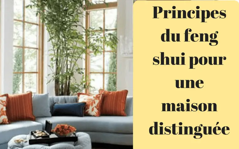 11 conseils feng shui a suivre pour une maison moderne