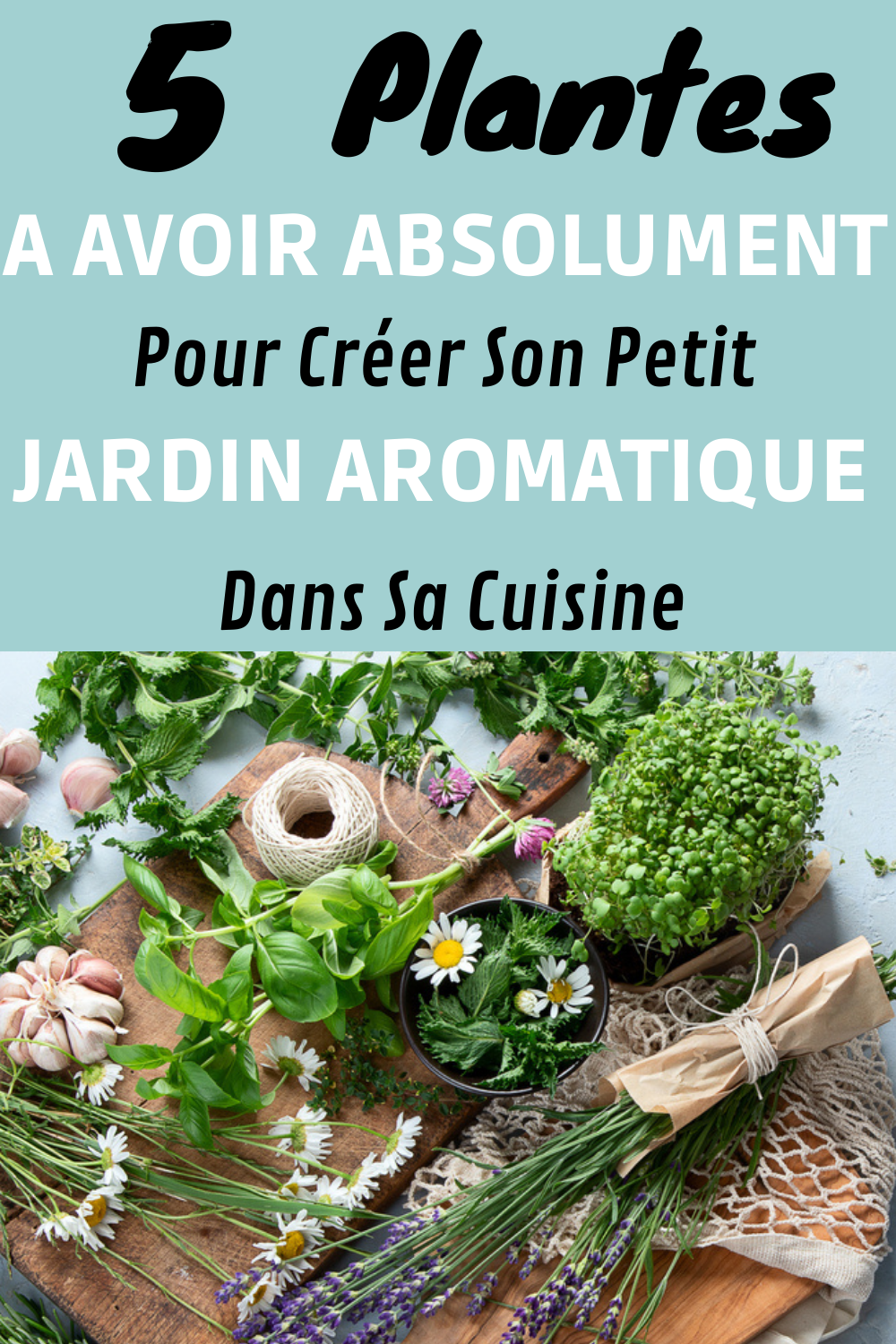 Les 5 plantes aromatiques à avoir dans sa maison