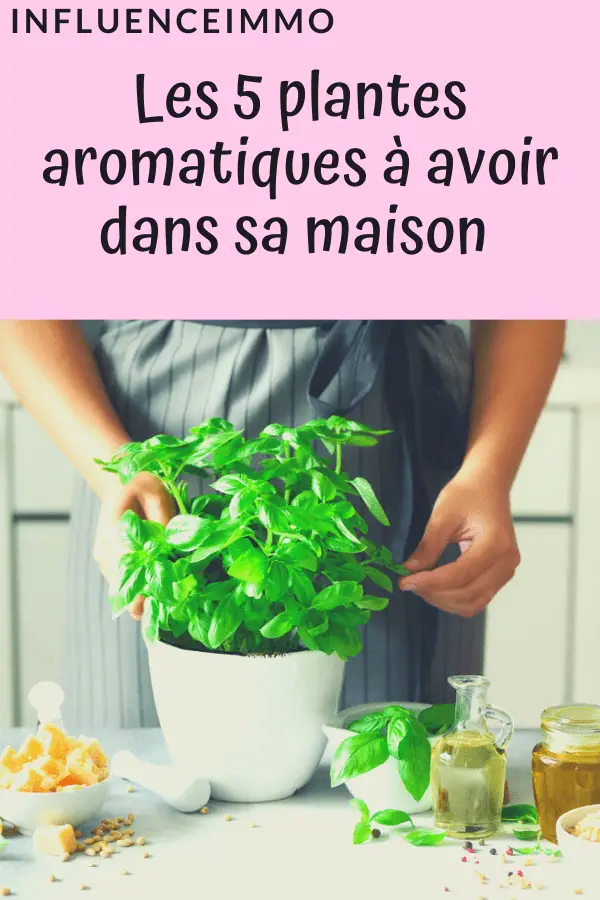 Les 5 plantes aromatiques à avoir dans sa maison