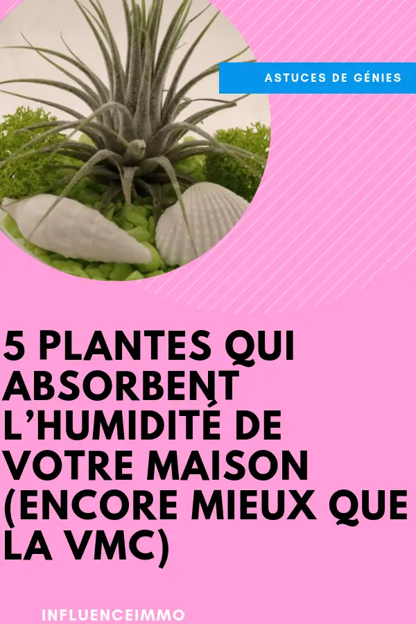 Maison Humide Et Santé | Ventana Blog