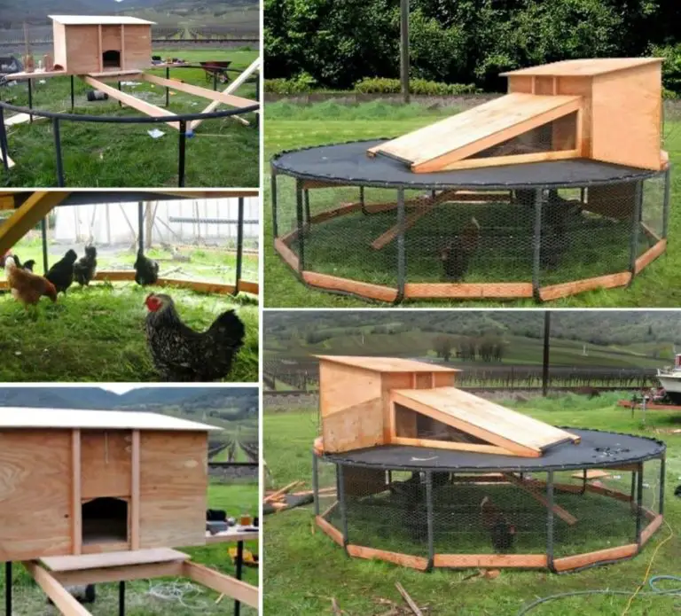 15 Brillantes Idées DIY Pour transformer un vieux trampoline