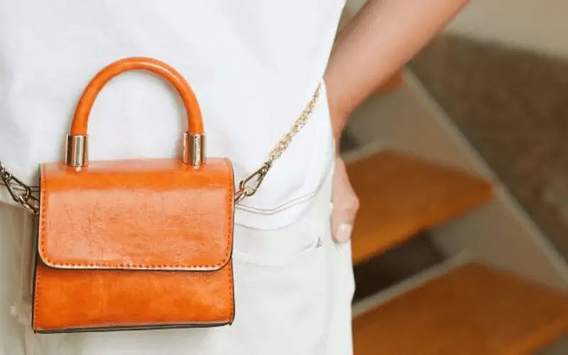 Mini Sac A Porter Des Cet Ete 2020 Pour Des Minis Prix