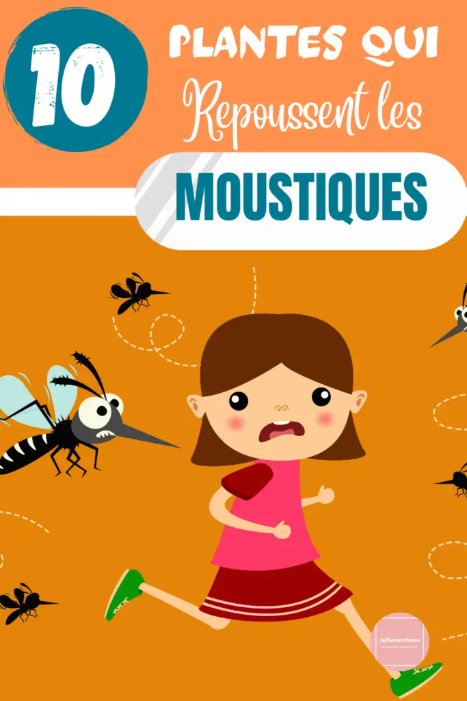 10 Plantes Anti-Moustiques Qui Font Fuir Les Moustiques et Les Mouches
