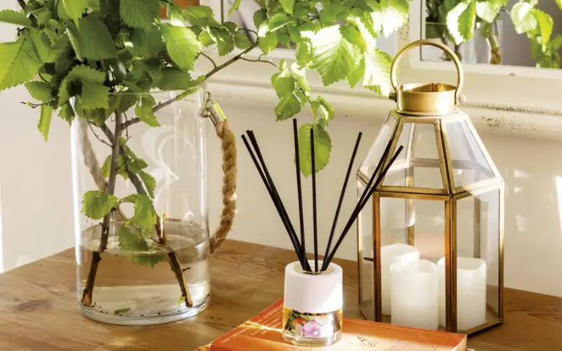 7 Astuces Infaillibles Qui Éliminent L'Odeur de Tabac Dans La Maison