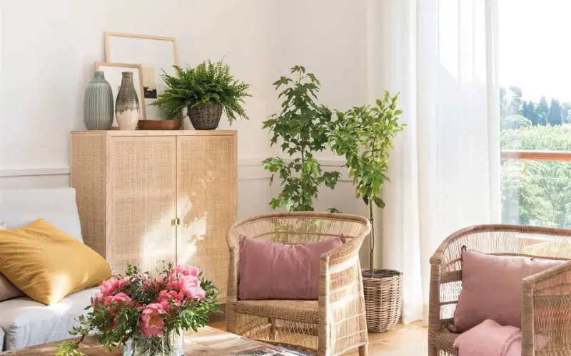 14 Erreurs Que Nous Pouvons Tous Commettre Pour Notre Intérieur