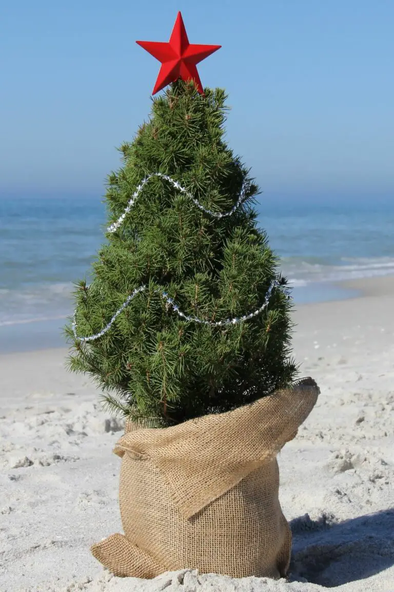 comment decorer le pied du sapin de noel