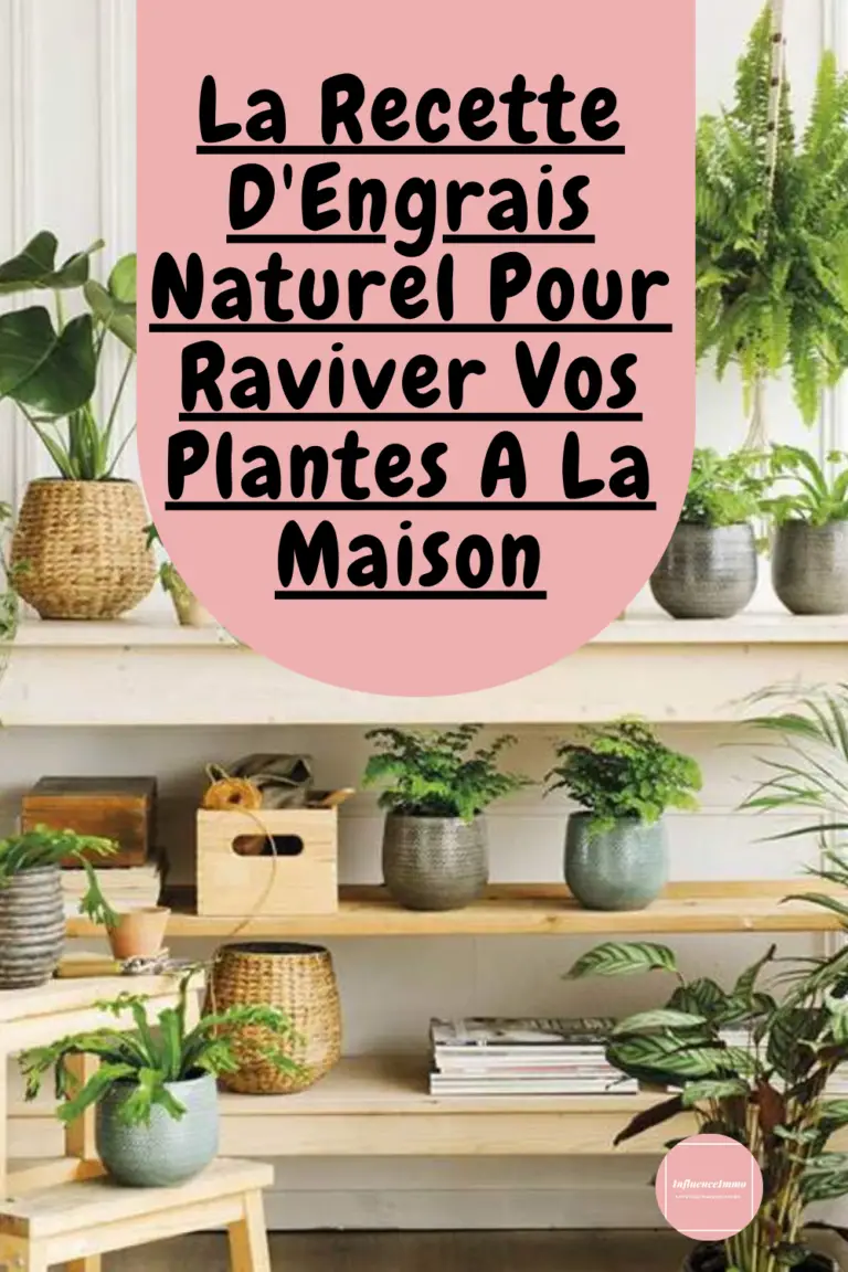 La Recette D'Engrais Naturel Pour Raviver Vos Plantes