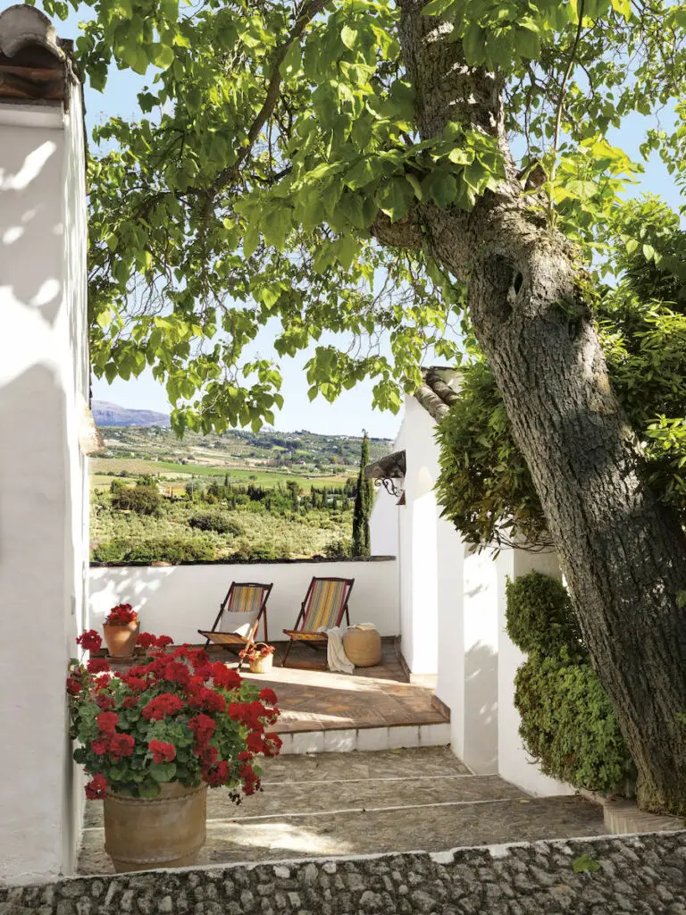 10 Idées Pour Créer Un Beau Jardin En Pot Dans Sa Terrasse