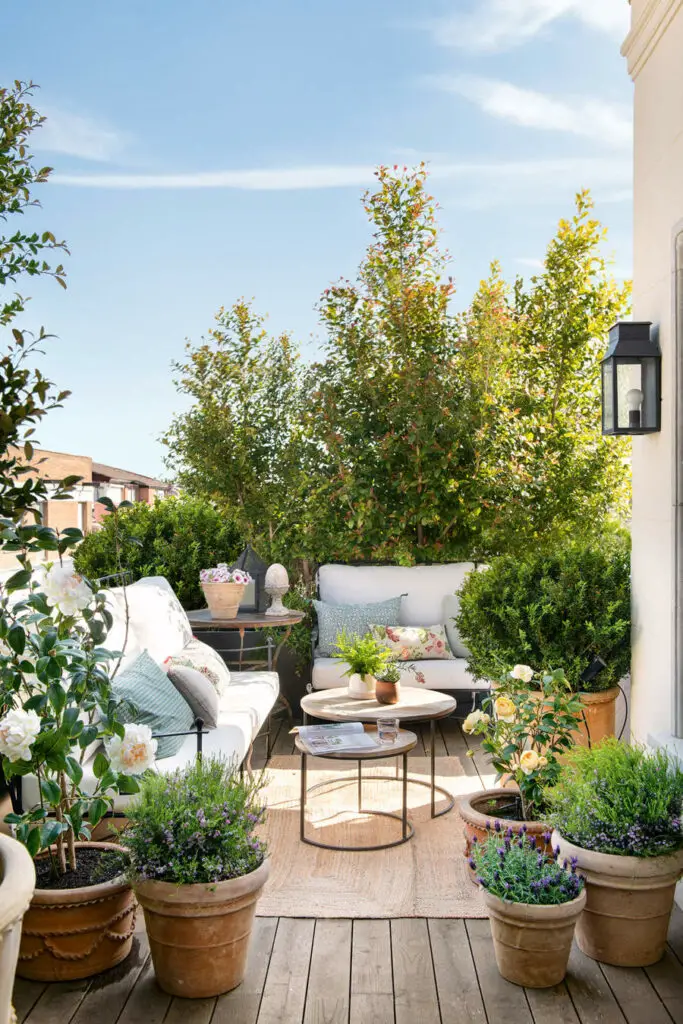 Jardin En Pots Terrasse